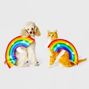 Light up (3 modes) Pet Rainbow Costume- **NEVER USED OR WORN**